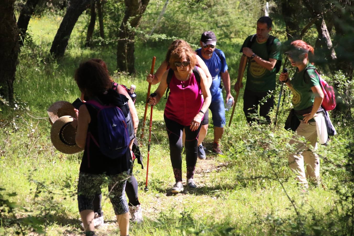 Más de 480 personas han disfrutado, esta mañana, de una nueva edición de la 'Ruta Templaria', organizada por la Asociación Grupo Senderista Jerezano 'Las Chorreras' con el apoyo del Ayuntamiento de Jerez, el Programa de Dinamización Deportiva de la Mancomunidad Sierra Suroeste, 'Euexia Rural' y el patrocinio de diferentes casas comerciales de la localidad. Jerez de los Caballeros y su entorno han vuelto a ser protagonistas de una ruta que, este año, ha contado con un nuevo recorrido entre las cuencas de los arroyos Benferre y Casabayas. La jornada ha comenzado en el Parque de Santa Lucía y ha finalizado en la Plaza de la Alcazaba con una paella y la actuación musical de 'Dale al Play'.