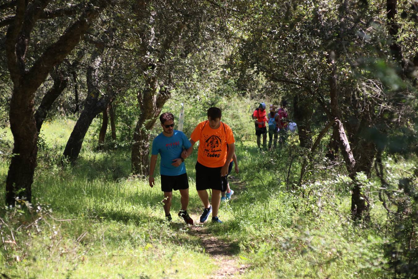 Más de 480 personas han disfrutado, esta mañana, de una nueva edición de la 'Ruta Templaria', organizada por la Asociación Grupo Senderista Jerezano 'Las Chorreras' con el apoyo del Ayuntamiento de Jerez, el Programa de Dinamización Deportiva de la Mancomunidad Sierra Suroeste, 'Euexia Rural' y el patrocinio de diferentes casas comerciales de la localidad. Jerez de los Caballeros y su entorno han vuelto a ser protagonistas de una ruta que, este año, ha contado con un nuevo recorrido entre las cuencas de los arroyos Benferre y Casabayas. La jornada ha comenzado en el Parque de Santa Lucía y ha finalizado en la Plaza de la Alcazaba con una paella y la actuación musical de 'Dale al Play'.