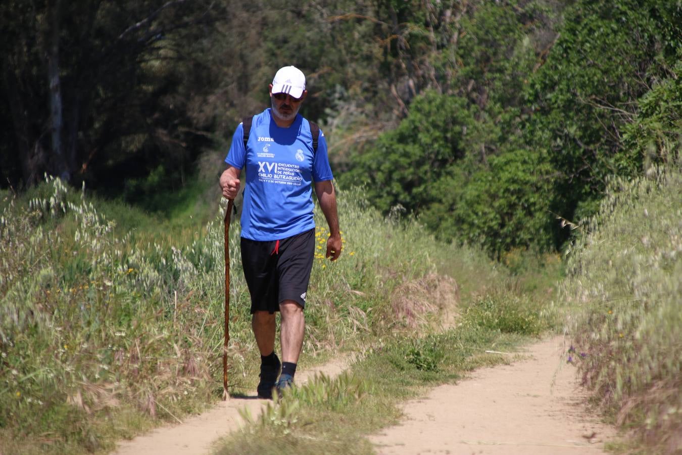 Más de 480 personas han disfrutado, esta mañana, de una nueva edición de la 'Ruta Templaria', organizada por la Asociación Grupo Senderista Jerezano 'Las Chorreras' con el apoyo del Ayuntamiento de Jerez, el Programa de Dinamización Deportiva de la Mancomunidad Sierra Suroeste, 'Euexia Rural' y el patrocinio de diferentes casas comerciales de la localidad. Jerez de los Caballeros y su entorno han vuelto a ser protagonistas de una ruta que, este año, ha contado con un nuevo recorrido entre las cuencas de los arroyos Benferre y Casabayas. La jornada ha comenzado en el Parque de Santa Lucía y ha finalizado en la Plaza de la Alcazaba con una paella y la actuación musical de 'Dale al Play'.