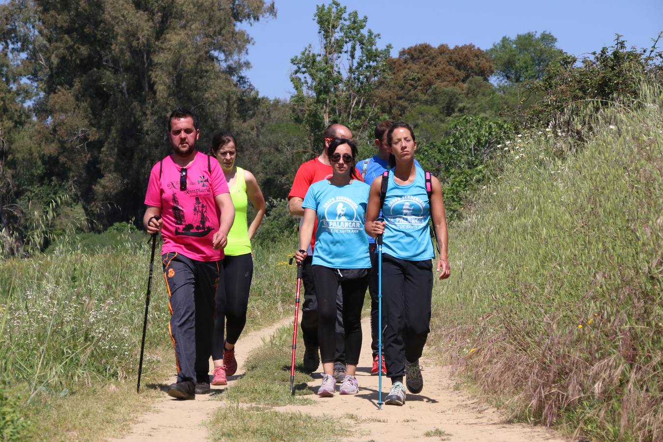 Más de 480 personas han disfrutado, esta mañana, de una nueva edición de la 'Ruta Templaria', organizada por la Asociación Grupo Senderista Jerezano 'Las Chorreras' con el apoyo del Ayuntamiento de Jerez, el Programa de Dinamización Deportiva de la Mancomunidad Sierra Suroeste, 'Euexia Rural' y el patrocinio de diferentes casas comerciales de la localidad. Jerez de los Caballeros y su entorno han vuelto a ser protagonistas de una ruta que, este año, ha contado con un nuevo recorrido entre las cuencas de los arroyos Benferre y Casabayas. La jornada ha comenzado en el Parque de Santa Lucía y ha finalizado en la Plaza de la Alcazaba con una paella y la actuación musical de 'Dale al Play'.