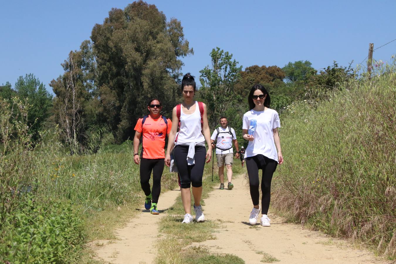 Más de 480 personas han disfrutado, esta mañana, de una nueva edición de la 'Ruta Templaria', organizada por la Asociación Grupo Senderista Jerezano 'Las Chorreras' con el apoyo del Ayuntamiento de Jerez, el Programa de Dinamización Deportiva de la Mancomunidad Sierra Suroeste, 'Euexia Rural' y el patrocinio de diferentes casas comerciales de la localidad. Jerez de los Caballeros y su entorno han vuelto a ser protagonistas de una ruta que, este año, ha contado con un nuevo recorrido entre las cuencas de los arroyos Benferre y Casabayas. La jornada ha comenzado en el Parque de Santa Lucía y ha finalizado en la Plaza de la Alcazaba con una paella y la actuación musical de 'Dale al Play'.