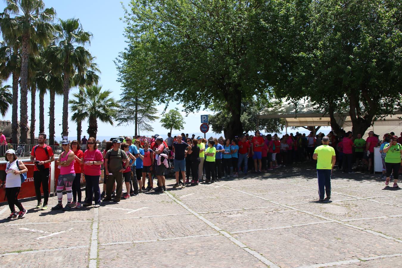 Más de 480 personas han disfrutado, esta mañana, de una nueva edición de la 'Ruta Templaria', organizada por la Asociación Grupo Senderista Jerezano 'Las Chorreras' con el apoyo del Ayuntamiento de Jerez, el Programa de Dinamización Deportiva de la Mancomunidad Sierra Suroeste, 'Euexia Rural' y el patrocinio de diferentes casas comerciales de la localidad. Jerez de los Caballeros y su entorno han vuelto a ser protagonistas de una ruta que, este año, ha contado con un nuevo recorrido entre las cuencas de los arroyos Benferre y Casabayas. La jornada ha comenzado en el Parque de Santa Lucía y ha finalizado en la Plaza de la Alcazaba con una paella y la actuación musical de 'Dale al Play'.