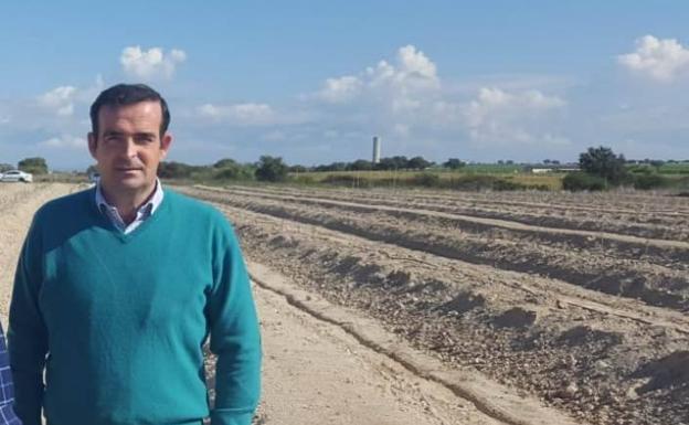 El veterinario jerezano Antonio PérezMoreno en el primer cultivo intensivo de encina en Saucedilla.