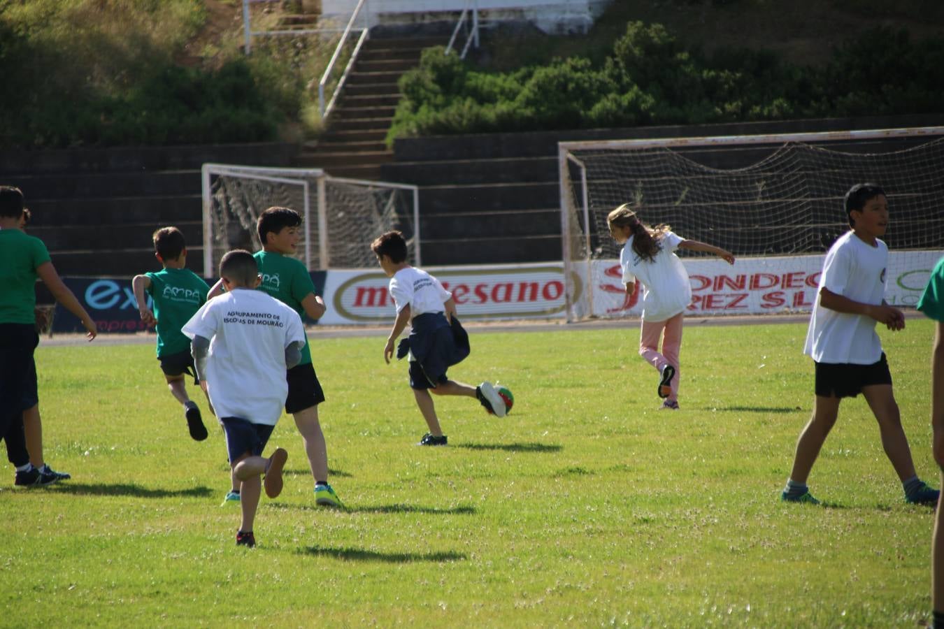 La Ciudad Deportiva 'Manuel Calzado' ha acogido, esta mañana, la celebración de la IV Convivencia Deportiva de Primaria, organizada por el Centro de Profesores y Recursos de esta ciudad con el apoyo del Ayuntamiento de Jerez, la Junta de Extremadura, la Diputación de Badajoz y la Fundación 'Alfonso Gallardo'. Más de 750 escolares de 15 colegios han disfrutado de esta experiencia deportiva con pruebas de atletismo, lanzamiento de peso, salto de altura, salto de longitud y lanzamiento de jabalina.