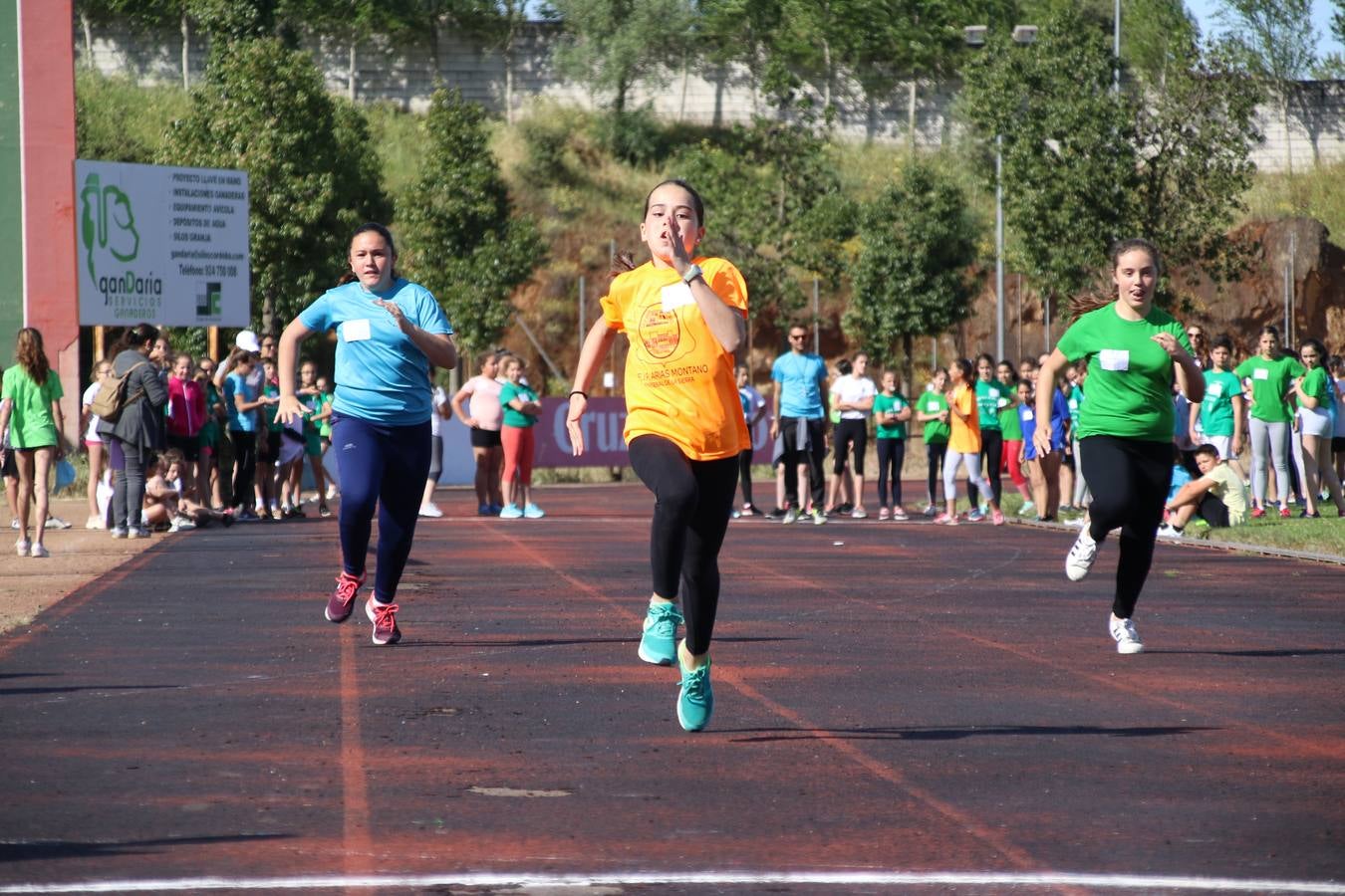 La Ciudad Deportiva 'Manuel Calzado' ha acogido, esta mañana, la celebración de la IV Convivencia Deportiva de Primaria, organizada por el Centro de Profesores y Recursos de esta ciudad con el apoyo del Ayuntamiento de Jerez, la Junta de Extremadura, la Diputación de Badajoz y la Fundación 'Alfonso Gallardo'. Más de 750 escolares de 15 colegios han disfrutado de esta experiencia deportiva con pruebas de atletismo, lanzamiento de peso, salto de altura, salto de longitud y lanzamiento de jabalina.