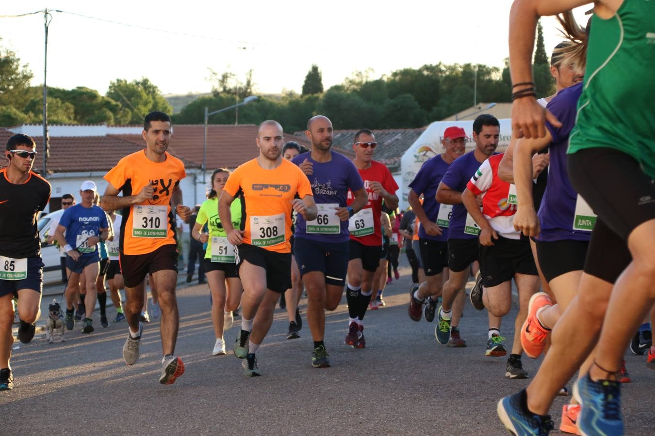 La Bazana acogió, ayer, la tercera edición de la carrera popular Juan José Galván Méndez 'Juanito'. Antonio Grillo Sánchez y María Dolores Pons Díaz fueron los vencedores de la prueba absoluta. La cita consiguió recaudar 405 euros que se destinarán, nuevamente, a la Asociación 'Todos contra la Histiocitosis'.