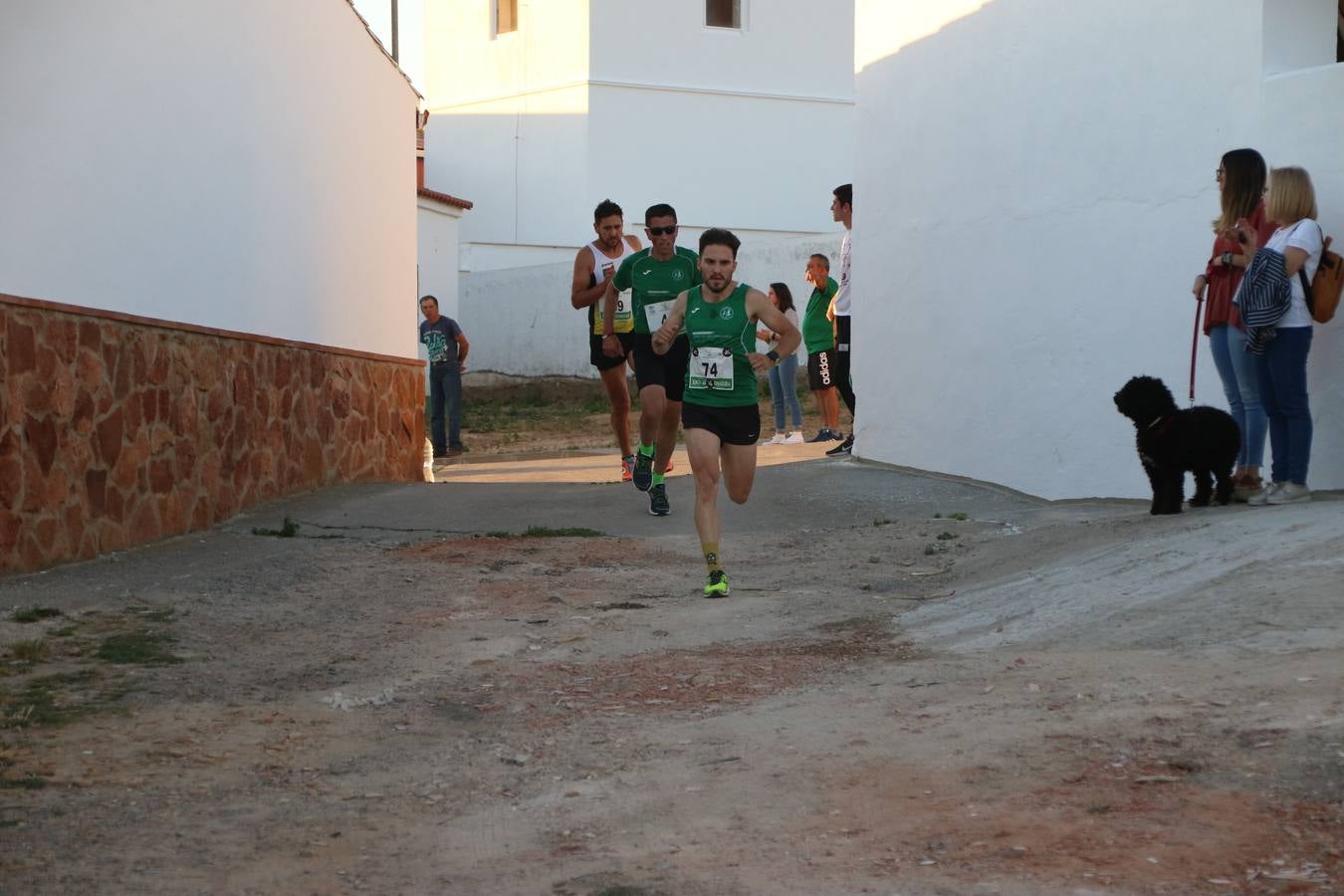La Bazana acogió, ayer, la tercera edición de la carrera popular Juan José Galván Méndez 'Juanito'. Antonio Grillo Sánchez y María Dolores Pons Díaz fueron los vencedores de la prueba absoluta. La cita consiguió recaudar 405 euros que se destinarán, nuevamente, a la Asociación 'Todos contra la Histiocitosis'.