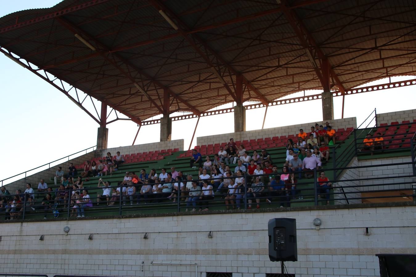 La Ciudad Deportiva 'Manuel Calzado' acogió, ayer, la clausura del curso de la Escuela Municipal de Deportes de Jerez de los Caballeros con un desfile y una exhibición por parte de los alumnos y alumnas. Casi 500 niños y niñas se han formado, este año, en las distintas modalidades deportivas: atletismo, minibasket, baloncesto, ciclismo, fútbol-sala, fútbol 8, judo, kárate, multiaventura, multideporte, pádel, patinaje artístico, tenis y zumba kids.