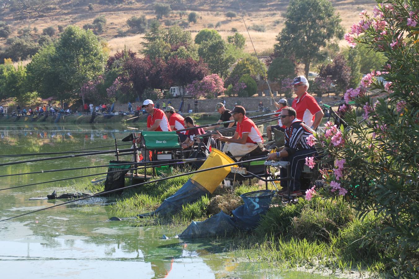Buen ambiente pero pocas tencas en el 301 aniversario del Concurso tradicional de Pesca 'Charca de la Albuera' que se ha celebrado este domingo 2 de junio en el enclave natural del que toma su nombre. esta cita organizada por la Sociedad de Pesca Balboa. Francisco Pérez Caballo con una captura de 11.380 gramos ha sido el ganador de esta edición. 