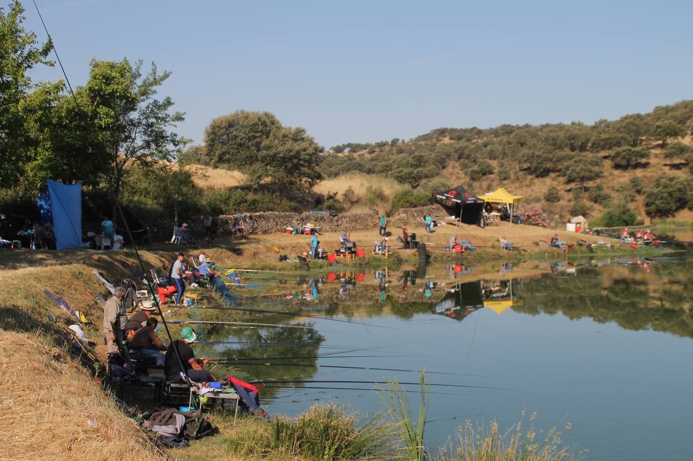 Buen ambiente pero pocas tencas en el 301 aniversario del Concurso tradicional de Pesca 'Charca de la Albuera' que se ha celebrado este domingo 2 de junio en el enclave natural del que toma su nombre. esta cita organizada por la Sociedad de Pesca Balboa. Francisco Pérez Caballo con una captura de 11.380 gramos ha sido el ganador de esta edición. 