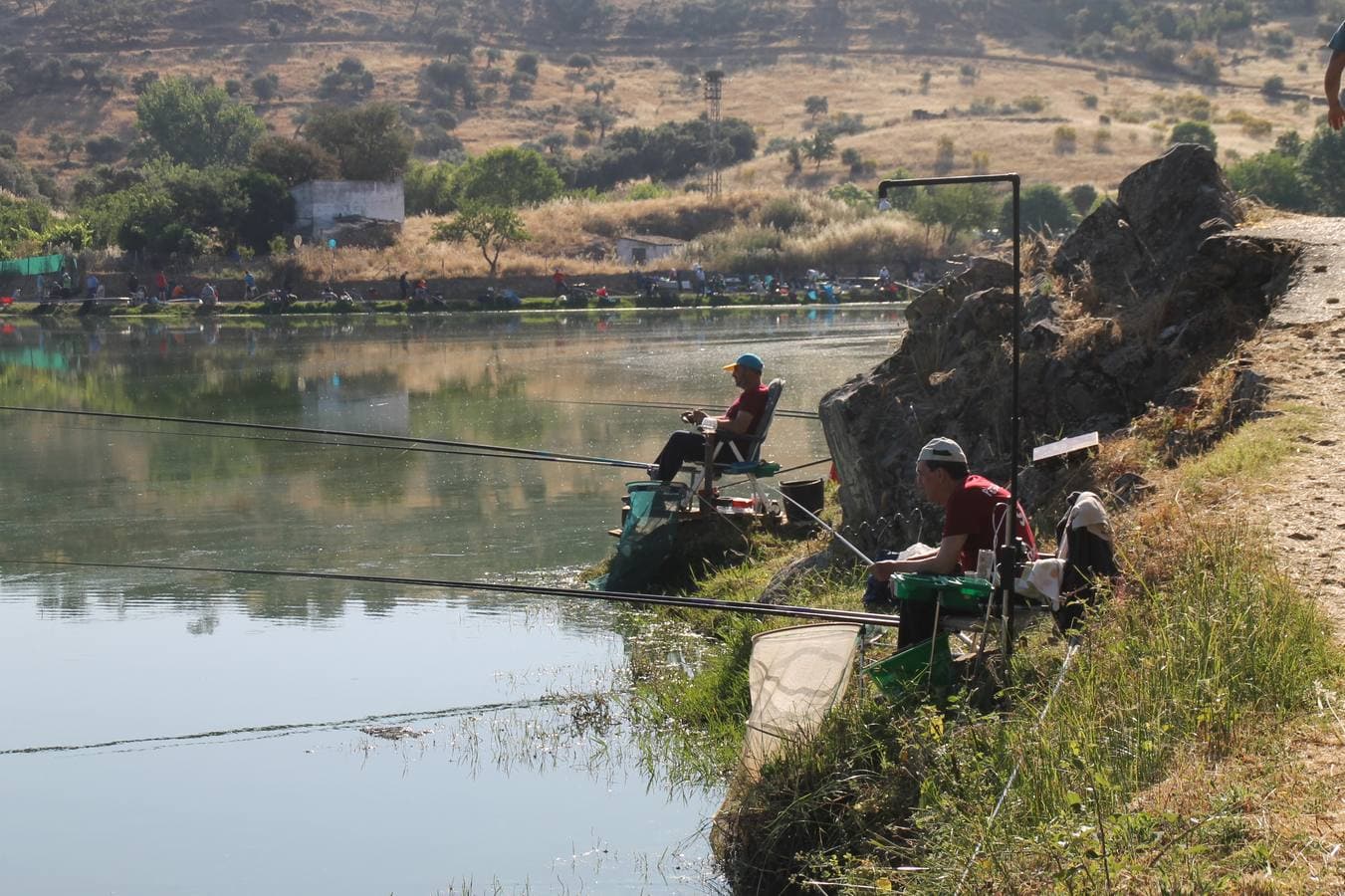 Francisco Pérez Caballo ha sido el ganador, este domingo, del tradicional Concurso de Pesca 'Charca de la Albuera' que este año 2019 ha alcanzado su 301 aniversario. Pérez ha logrado una peso total de captura de tencas de 11'380 kilogramos, casi una proeza teniendo en cuenta la dificultad de la mayoría de los cerca de 200 participantes que se han dado cita en este evento, para pescar la especie protagonista del mismo. José Antonio Flores Matamoros ha sido el segundo clasificado y primero de la zona C con 10`180 kilos de tenca; el tercer puesto y primero de la zona B ha sido para Juan José Sánchez Garrido con un peso de 4`980 kilos y el cuarto y primero de la zona A ha sido Antonio Galván Guerrero con una captura de poco más de 3 kilos de tencas.