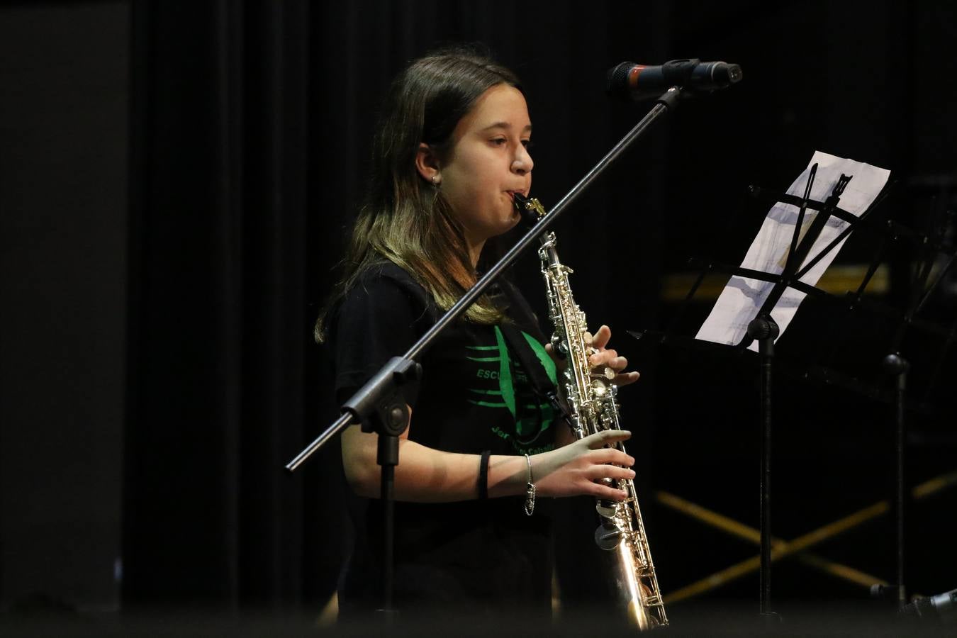 El Cine-teatro Balboa acogió, ayer, el concierto de clausura del curso 2018/2019 de la Escuela Municipal de Música de Jerez de los Caballeros. En esta cita, los alumnos y alumnas participantes ofrecieron una muestra de los conocimientos adquiridos durante el curso y su evolución a lo largo del mismo en las distintas modalidades impartidas. En este curso, han sido 113 los alumnos y alumnas que se han formado en la citada Escuela y cinco los profesores que han impartido las diferentes asignaturas: David Carrasco, Carlos Álvarez, Sergio Carrasco, Cristian Ivasr y Mª Asunción Pérez.