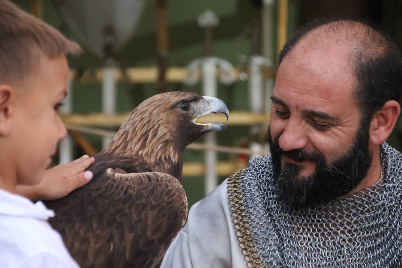 Las visitas guiadas, los talleres y los espectáculos marcan el ritmo del XVI Festival Templario. Vecinos y turistas recorrieron, ayer, las principales calles del municipio donde artesanos, mercaderes y taberneros ofrecían sus productos. También, pequeños y mayores disfrutaron con 'Descubriendo rincones templarios'; demostración de formaciones de combate; taller de cantería; cómo se vestía un templario para el combate; pasacalles; tiro con arco; espectáculo circense medieval, y espectáculo aéreo y de fuego.