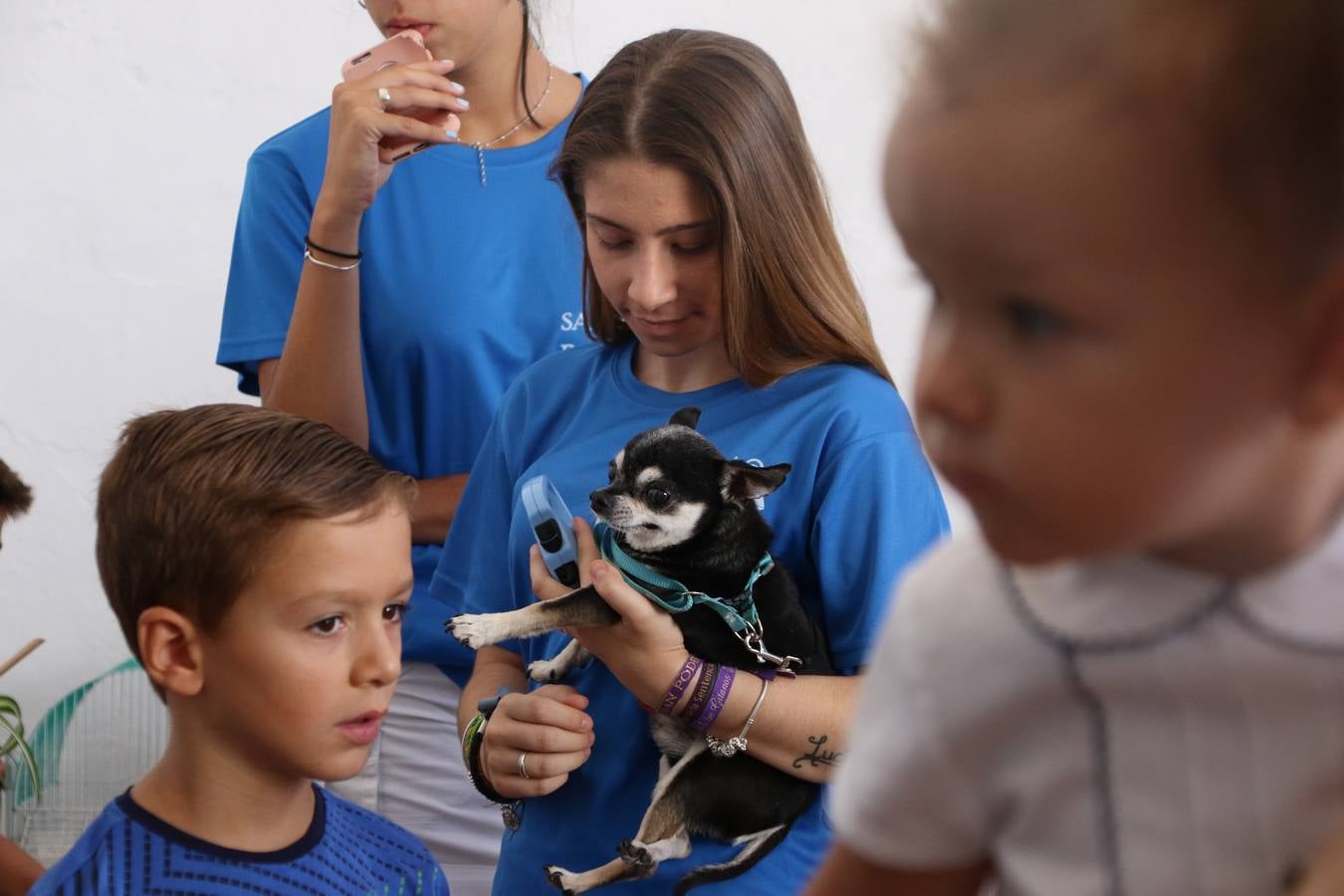 El popular barrio de 'San Roque' ha acogido, esta mañana, la primera jornada de su tradicional «velá». La cita ha comenzado con el despertar del barrio con repiques de campana y ha continuado con la tradicional ceremonia de la bendición de animales, los juegos infantiles, una gran tómbola y la fiesta de la espuma. 
