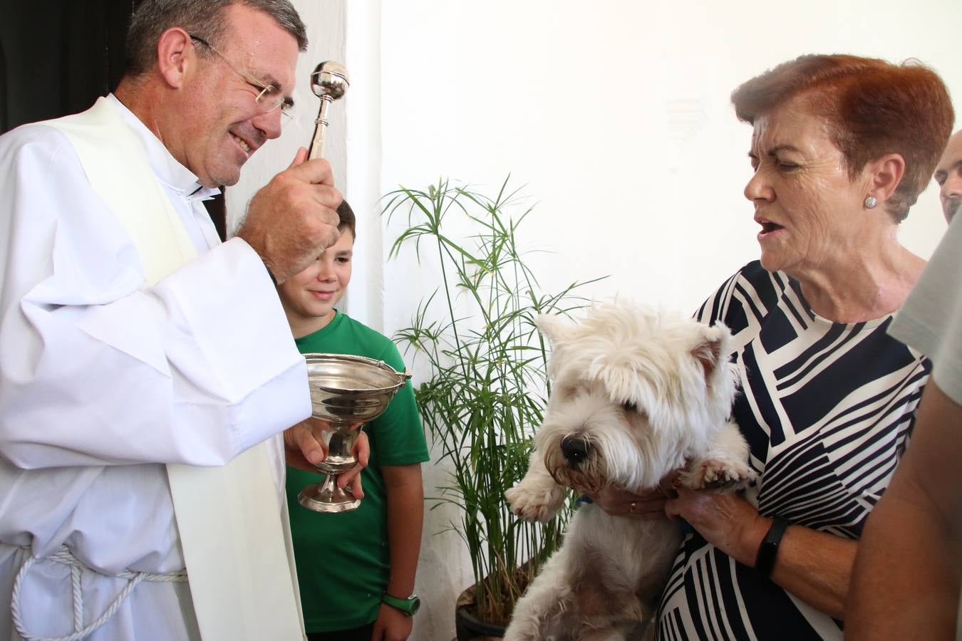 El popular barrio de 'San Roque' ha acogido, esta mañana, la primera jornada de su tradicional «velá». La cita ha comenzado con el despertar del barrio con repiques de campana y ha continuado con la tradicional ceremonia de la bendición de animales, los juegos infantiles, una gran tómbola y la fiesta de la espuma. 