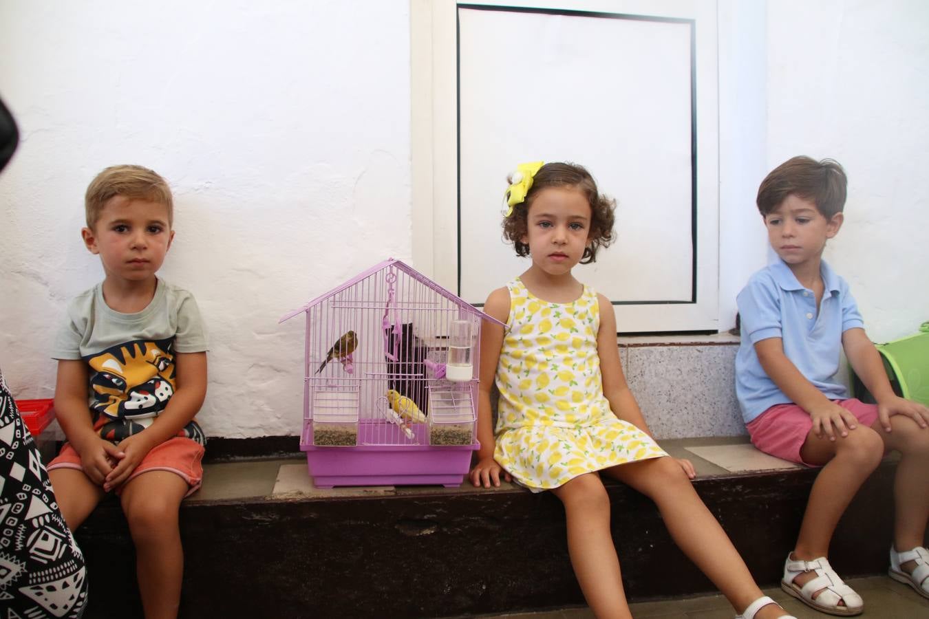 El popular barrio de 'San Roque' ha acogido, esta mañana, la primera jornada de su tradicional «velá». La cita ha comenzado con el despertar del barrio con repiques de campana y ha continuado con la tradicional ceremonia de la bendición de animales, los juegos infantiles, una gran tómbola y la fiesta de la espuma. 
