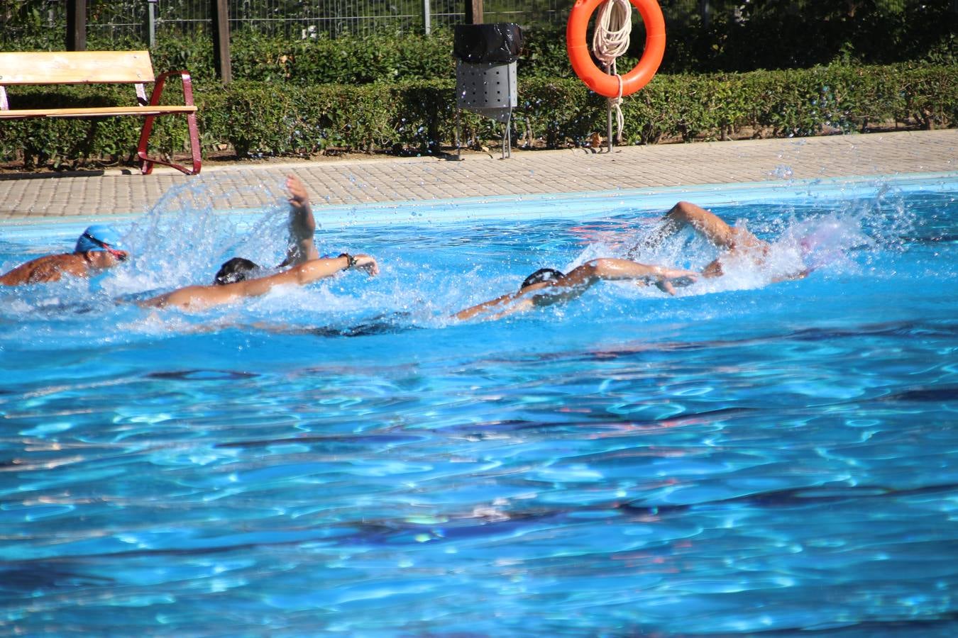 Jerez de los Caballeros ha acogido, esta mañana, la segunda edición del Acuatlón Popular 'Fiestas de San Bartolomé', organizado por la Pontificia y Real Archicofradía del Santísimo Sacramento con la colaboración del Ayuntamiento, el Plan de Dinamización Deportiva de la Mancomunidad Sierra Suroeste, Cruz Roja y diferentes casas comerciales del municipio. El acuatlón ha constado de dos pruebas (natación y atletismo); se ha desarrollado en las instalaciones de la piscina municipal y ciudad deportiva 'Manuel Calzado Galván', y ha contado con la participación de unos 48 inscritos, «la valoración que hacemos es muy positiva porque ha aumentado el número de inscritos y se ha conseguido una participación infantil que es una novedad este año. Los deportistas han acabado contentos y con ganas de repetir, por lo que es una satisfacción para nosotros», señala Álvaro Crespo, miembro de la junta de gobierno de la citada Archicofradía.
