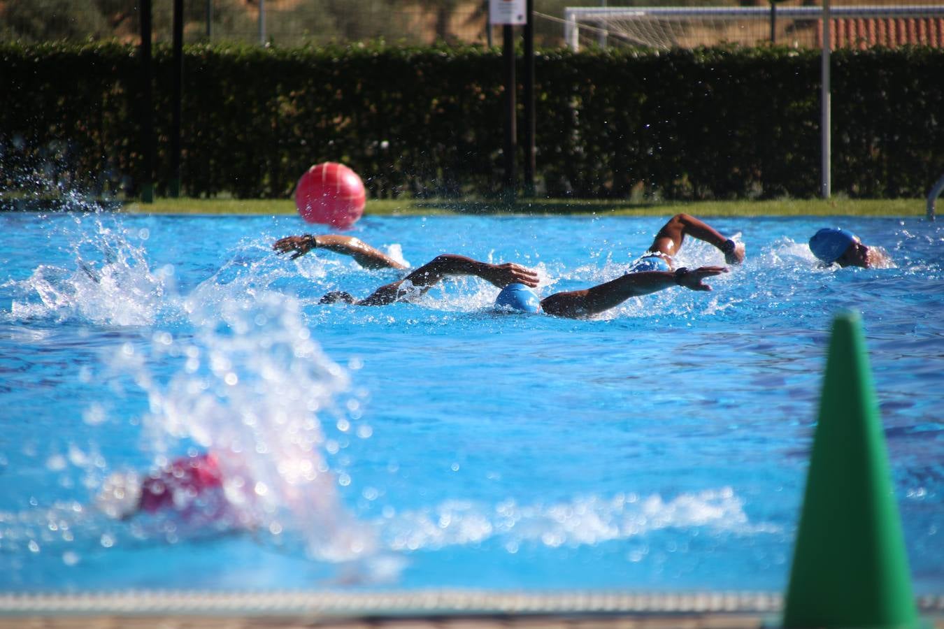 Jerez de los Caballeros ha acogido, esta mañana, la segunda edición del Acuatlón Popular 'Fiestas de San Bartolomé', organizado por la Pontificia y Real Archicofradía del Santísimo Sacramento con la colaboración del Ayuntamiento, el Plan de Dinamización Deportiva de la Mancomunidad Sierra Suroeste, Cruz Roja y diferentes casas comerciales del municipio. El acuatlón ha constado de dos pruebas (natación y atletismo); se ha desarrollado en las instalaciones de la piscina municipal y ciudad deportiva 'Manuel Calzado Galván', y ha contado con la participación de unos 48 inscritos, «la valoración que hacemos es muy positiva porque ha aumentado el número de inscritos y se ha conseguido una participación infantil que es una novedad este año. Los deportistas han acabado contentos y con ganas de repetir, por lo que es una satisfacción para nosotros», señala Álvaro Crespo, miembro de la junta de gobierno de la citada Archicofradía.