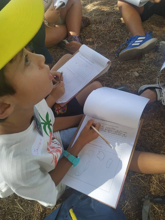 Jerez de los Caballeros ha acogido, esta mañana, la primera jornada del V Campamento turístico, organizado por el Ayuntamiento a través de la Concejalía de Turismo y la Oficina Municipal de Turismo con la implicación del Instituto de Estudios del Antiguo Egipto y el patrocinio de la Fundación 'Alfonso Gallardo'.35 niños y niñas, con edades comprendidas entre los 6 y 10 años, han participado en esta actividad que ha centrado su desarrollo en el conocimiento del patrimonio arqueológico del municipio.