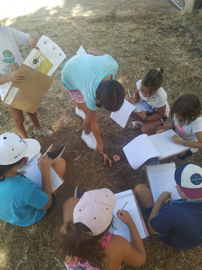 Jerez de los Caballeros ha acogido, esta mañana, la primera jornada del V Campamento turístico, organizado por el Ayuntamiento a través de la Concejalía de Turismo y la Oficina Municipal de Turismo con la implicación del Instituto de Estudios del Antiguo Egipto y el patrocinio de la Fundación 'Alfonso Gallardo'.35 niños y niñas, con edades comprendidas entre los 6 y 10 años, han participado en esta actividad que ha centrado su desarrollo en el conocimiento del patrimonio arqueológico del municipio.