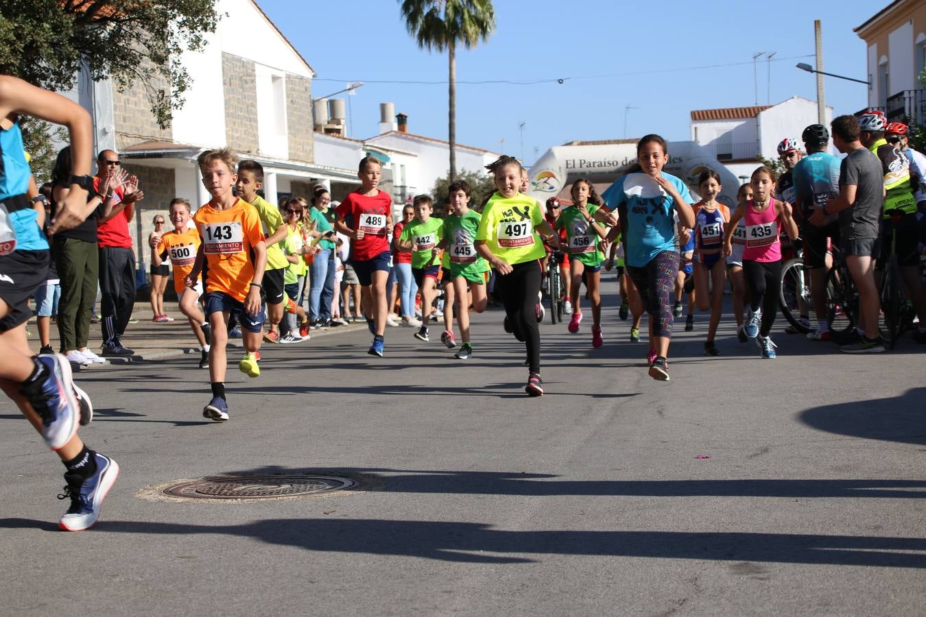 Valuengo continúa apostando por el deporte y la investigación de la Histiocitosis con la tercera edición del 'Cross Popular Valuengo', organizada por la Comisión de Festejos de la citada pedanía en colaboración con la Concejalía de Juventud y Deportes del Ayuntamiento de Jerez de los Caballeros y el Programa de Dinamización Deportiva de la Mancomunidad Sierra Suroeste. La citada prueba deportiva se ha celebrado esta mañana y ha contado con más de 140 participantes, entre todas las categorías.Celso Graciano y Estefanía Carretero se han convertido en los vencedores de la prueba general, y José Joaquín García y Rosa González han ocupado los primeros puestos locales.