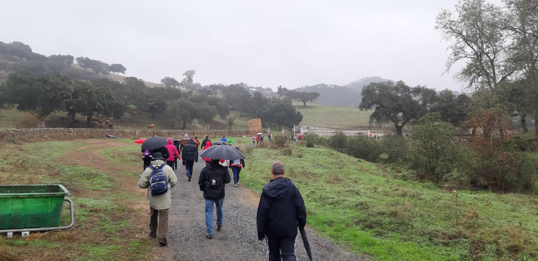 Participantes en en inicio de la Marcha por el bello entorno de La Bazana.
