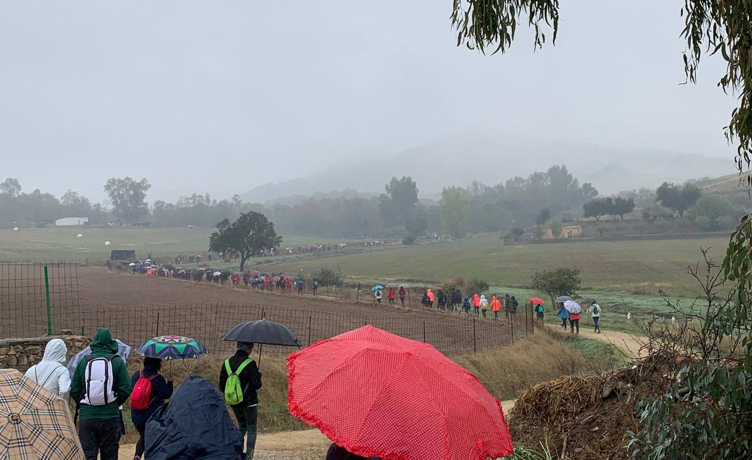 Participantes en en inicio de la Marcha por el bello entorno de La Bazana.