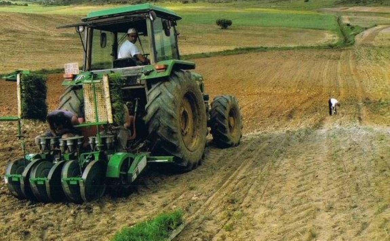 El Espacio para la Creación Joven oferta el curso 'Los jóvenes como impulsores del cooperativismo'