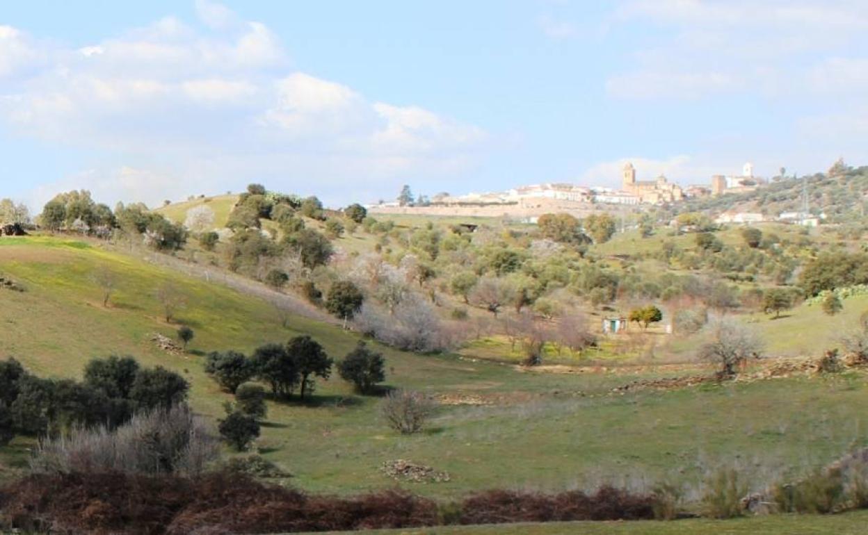 Imagen de la dehesa boyal, en el entorno de Jerez de los Caballeros. 
