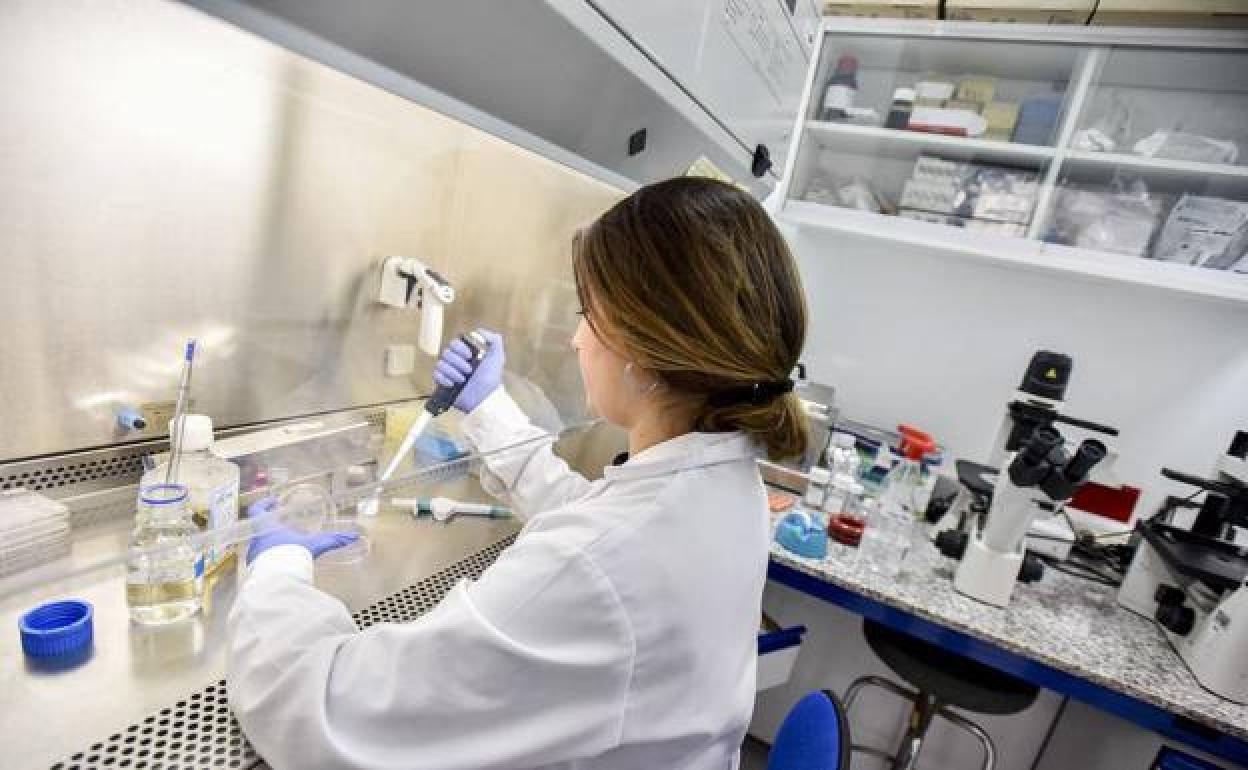 La UEx moviliza 17 grupos de investigación para hacer pruebas de detección del virus