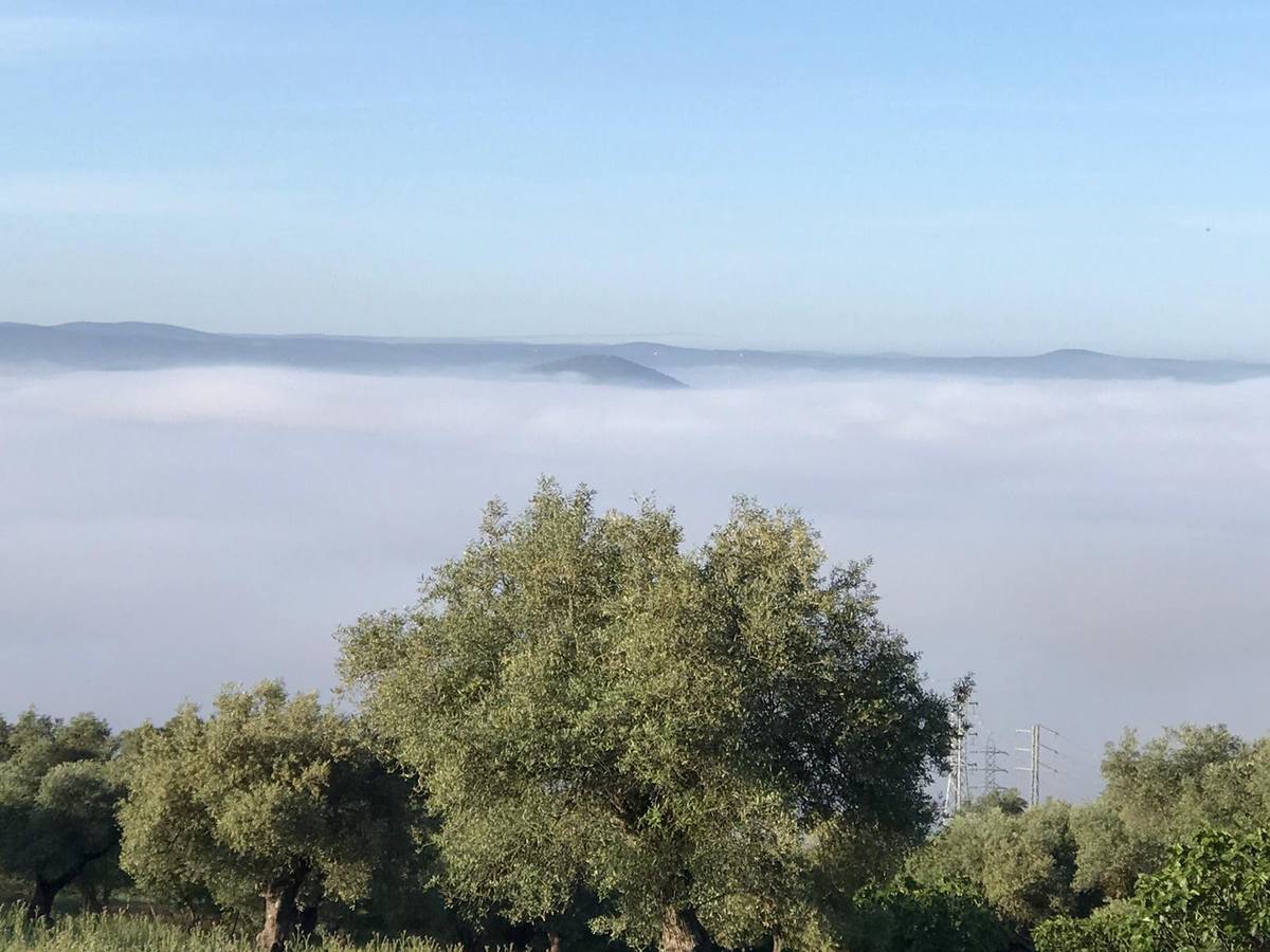 Muchos jerezanos celebraron la posibilidad de hacer deporte al aire libre.