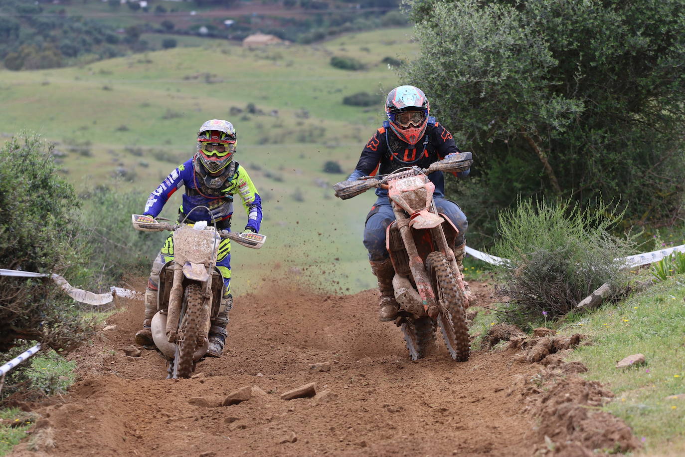 Fotos: Jerez acoge la tercera prueba del Campeonato de España de Cross Country
