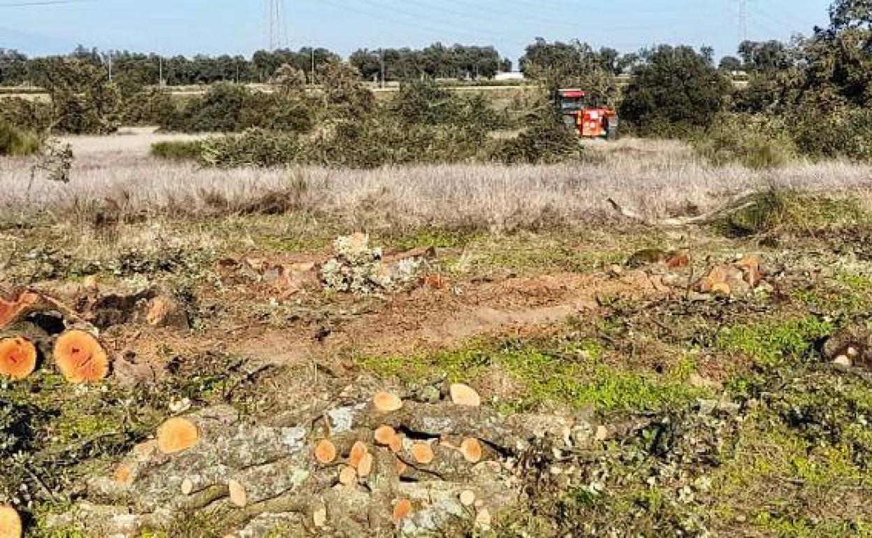 Cristian Lay inicia los trabajos previos de la fábrica de envases en Navalmoral