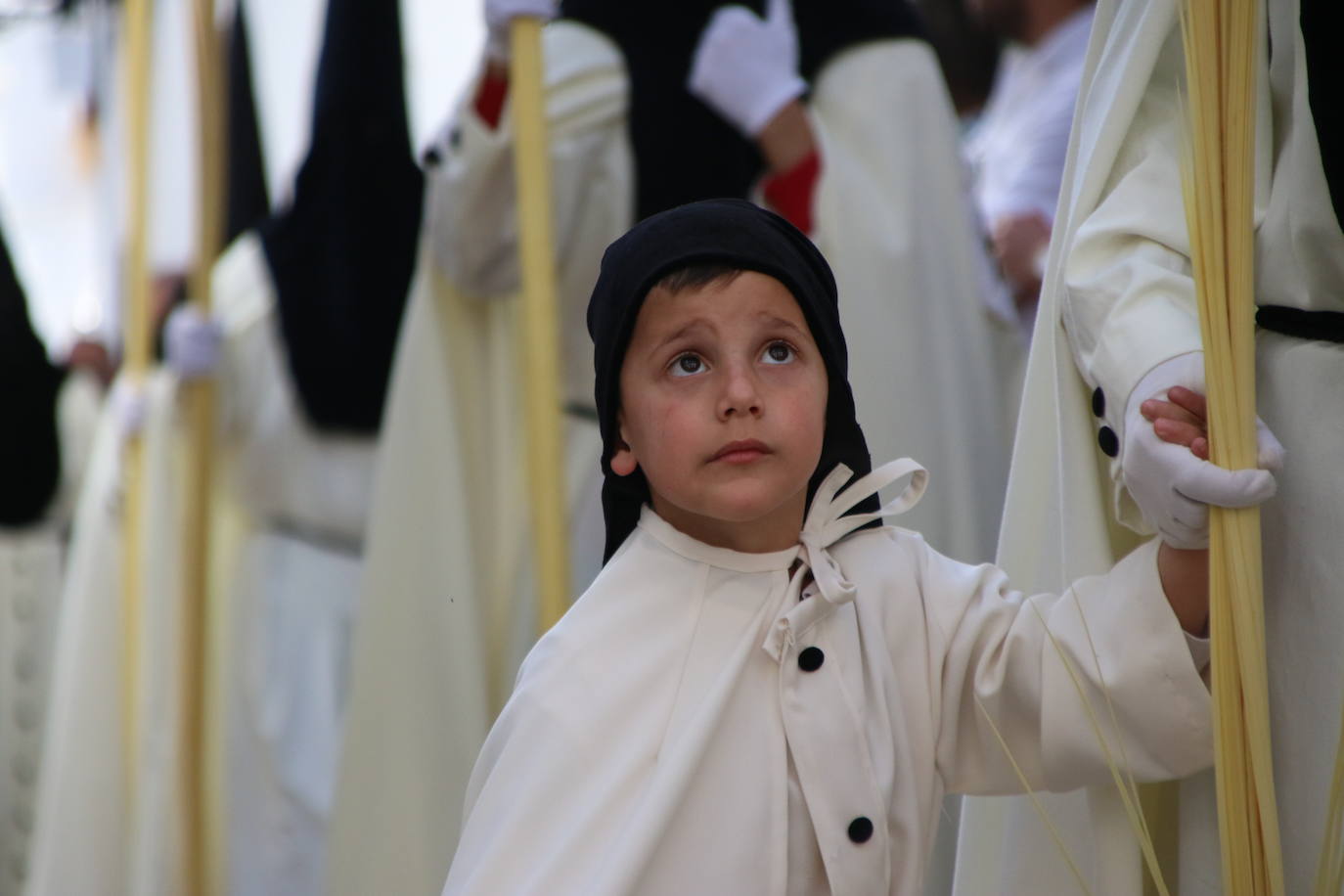 Fotos: Vuelve el fervor a las calles de Jerez de los Caballeros con la llegada de un anhelado Domingo de Ramos