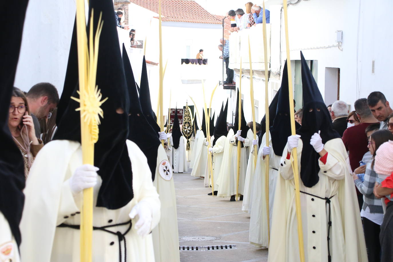 Fotos: Vuelve el fervor a las calles de Jerez de los Caballeros con la llegada de un anhelado Domingo de Ramos