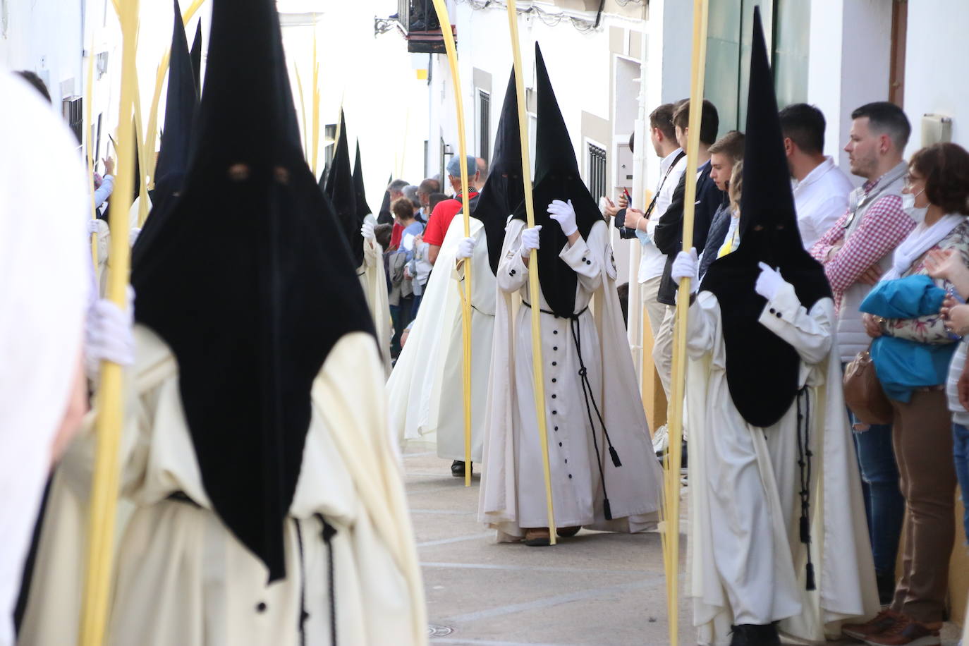 Fotos: Vuelve el fervor a las calles de Jerez de los Caballeros con la llegada de un anhelado Domingo de Ramos