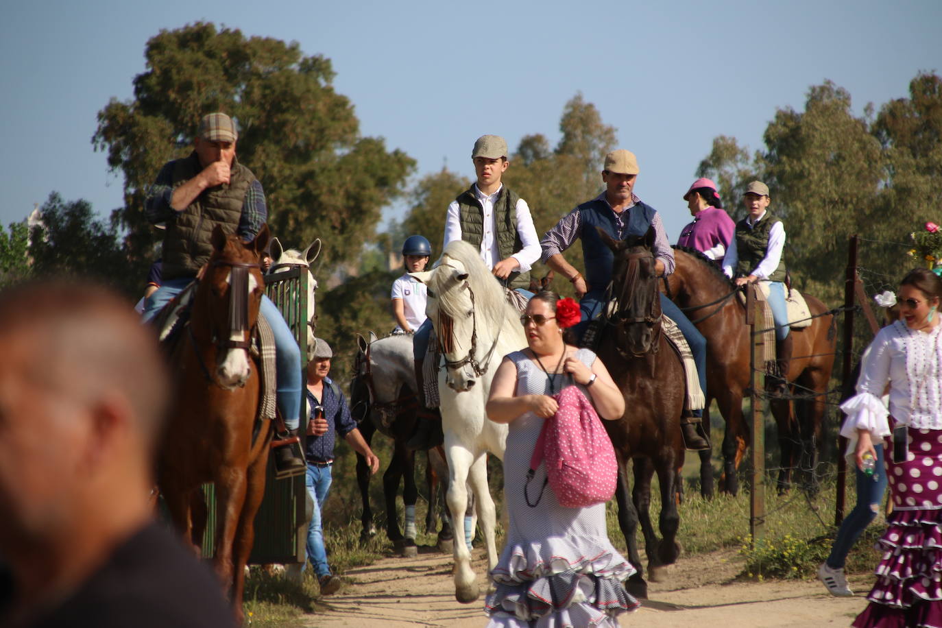 Fotos: Jerez celebra la romería en honor de su Patrona, Nuestra Señora de Aguasantas