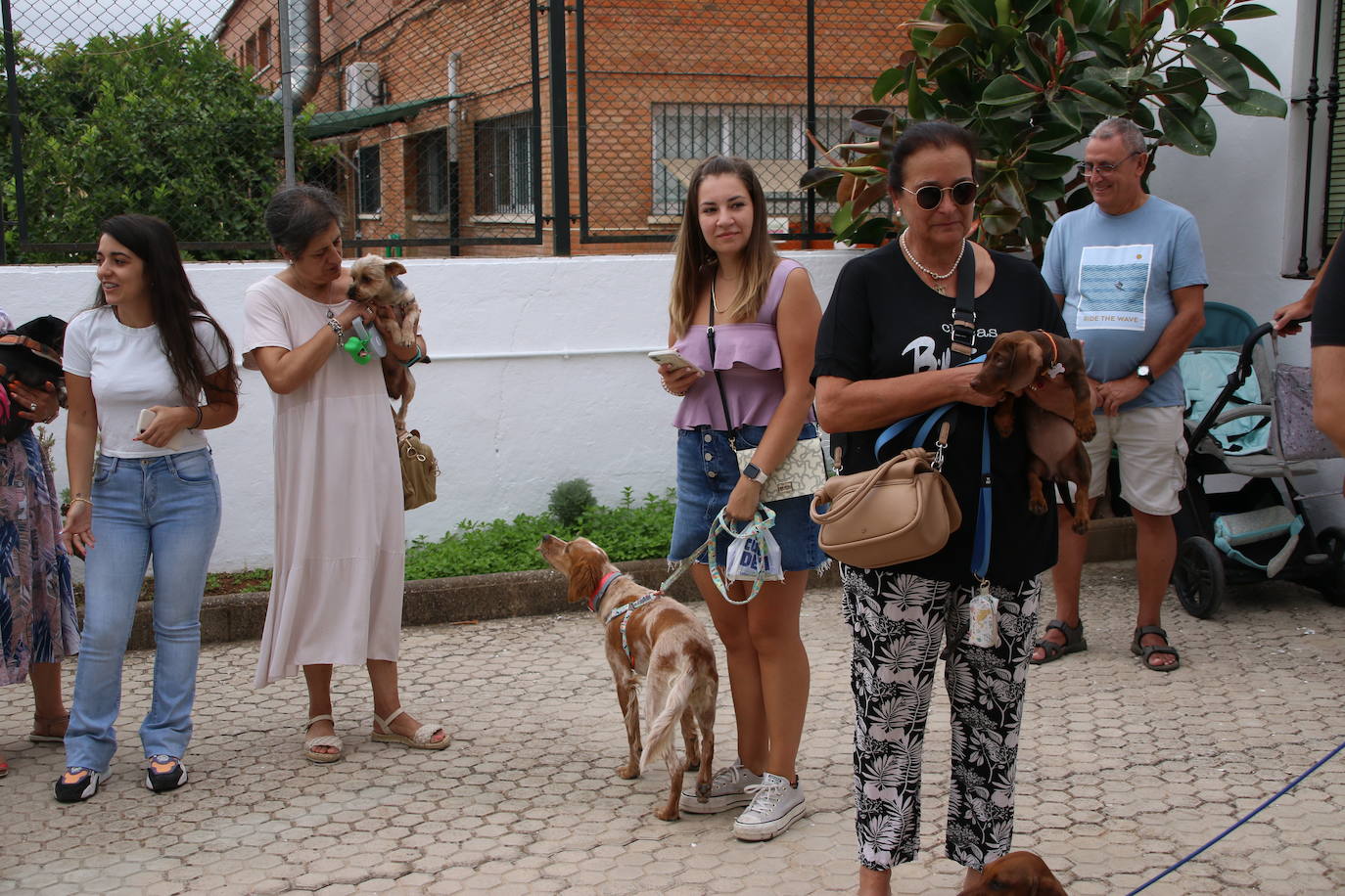 Fotos: La «velá» del barrio de San Roque continúa con la tradicional bendición de animales y los juegos infantiles