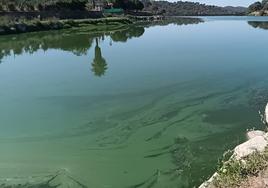 El Ayuntamiento comunica la existencia de una contaminación por cianobacterias en la Charca de la Albuera
