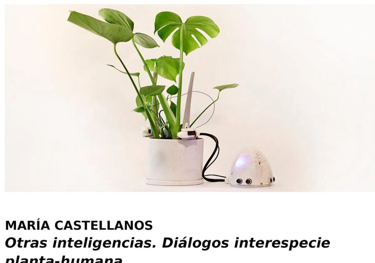 La exposición «Otras inteligencias. Diálogos interespecies entre plantas y humanos» recala en Jerez