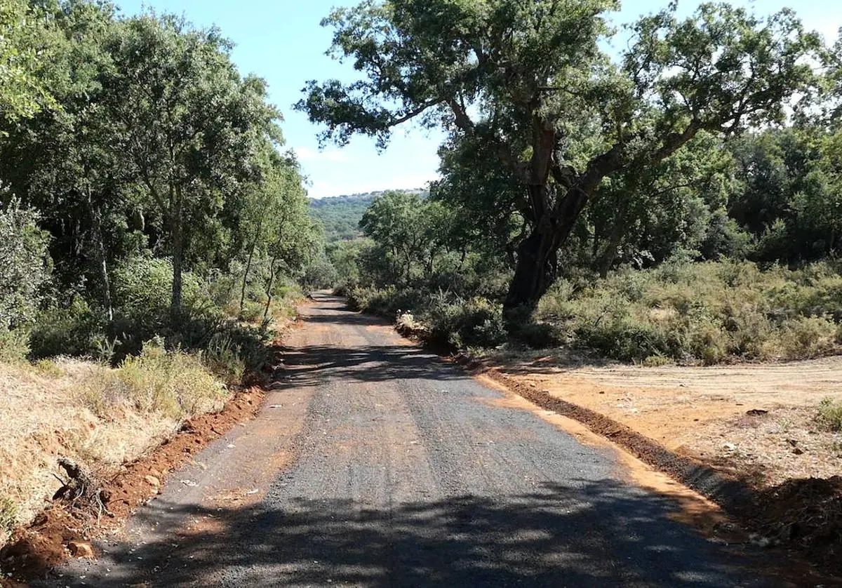 El camino es usado por muchos propietarios que llegan a sus negocios a través del mismo.