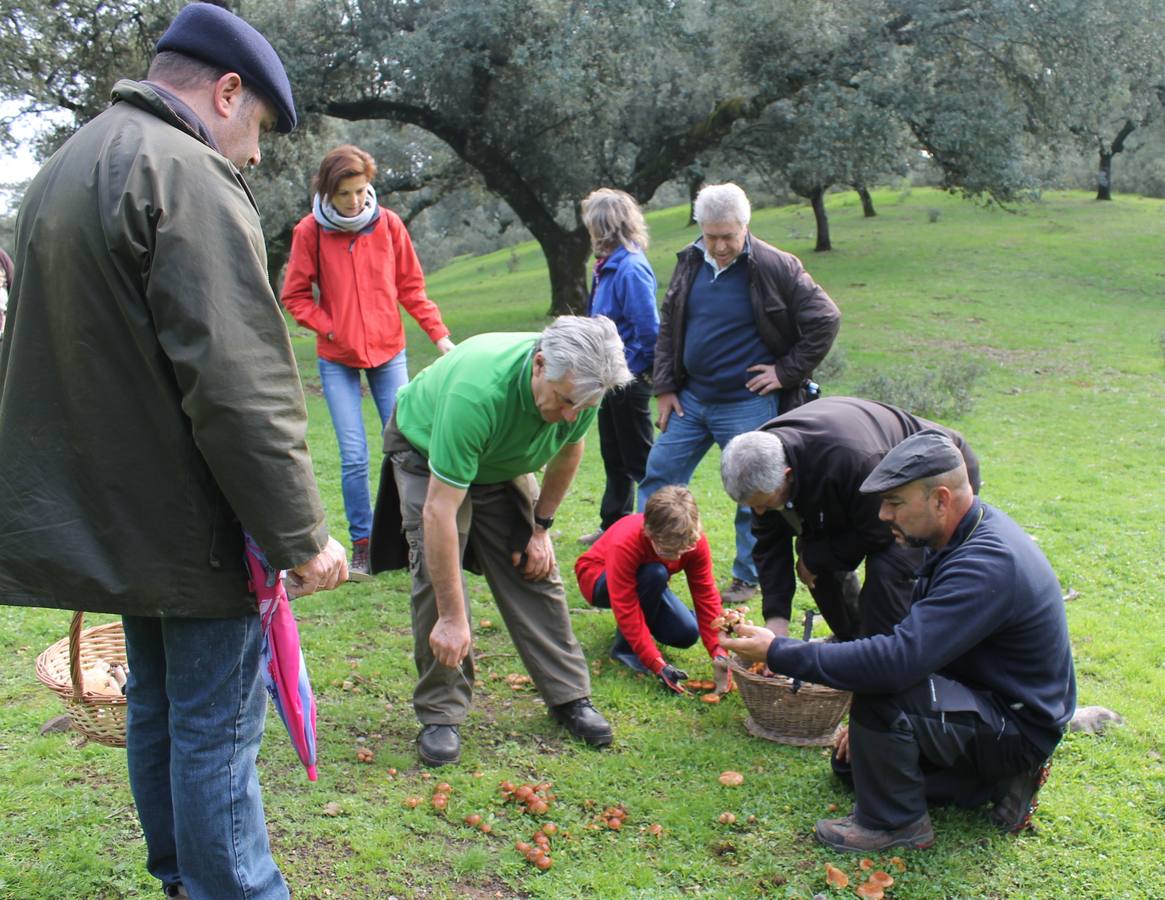 El sábado será la salida al campo para la recogida de setas.