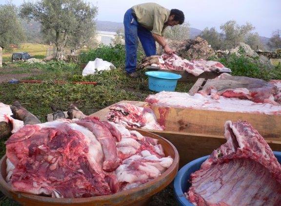 La celebración comenzará con un desayuno que dará paso a un despiece didáctico del cerdo.