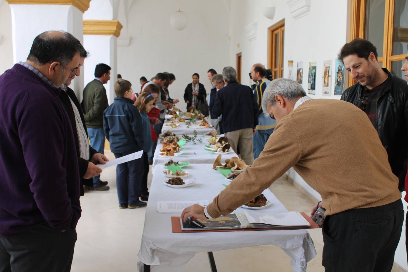 El domingo, 26 de noviembre, se prodrá visitar la exposición con las setas recogidas en la salida al campo. 