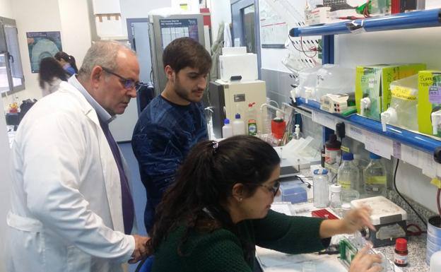 Investigadores de la Universidad de Extremadura. 