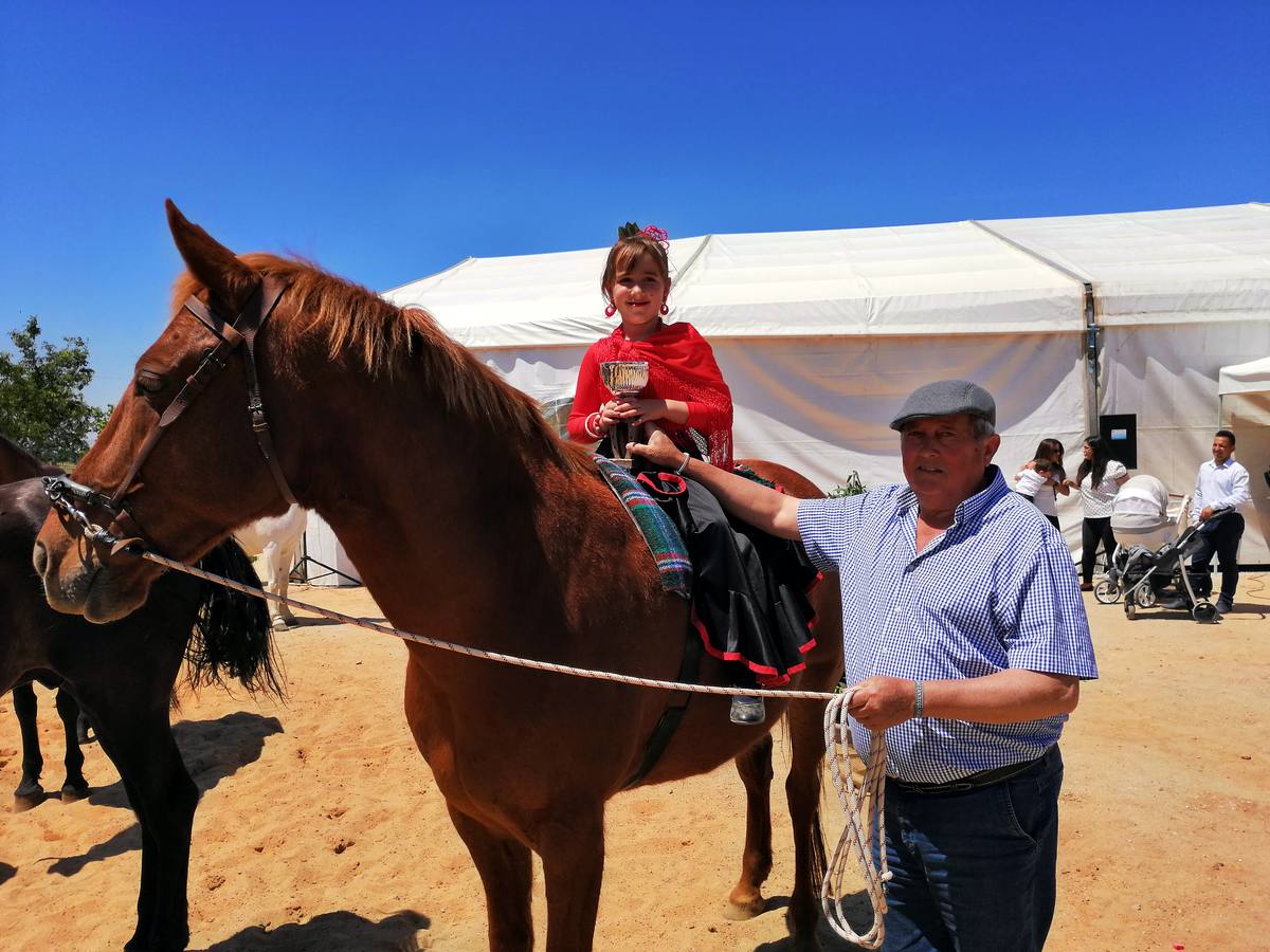 Fotos: Feria de Mayo