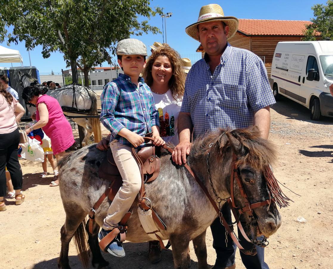 Fotos: Feria de Mayo