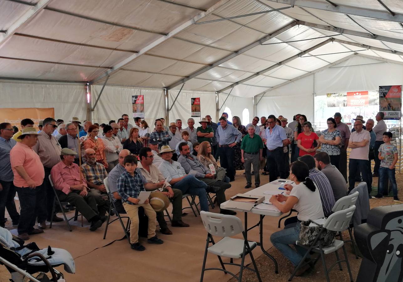 Fotos: Feria de Mayo
