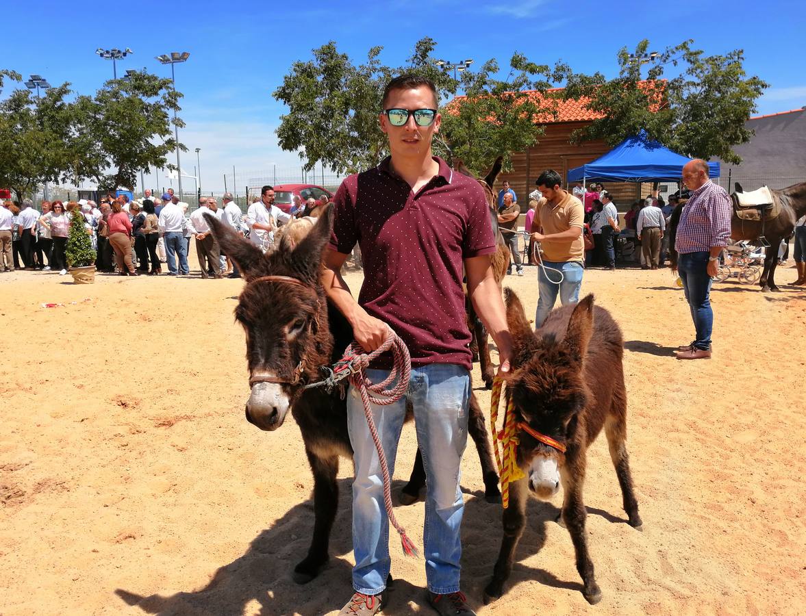 Fotos: Feria de Mayo