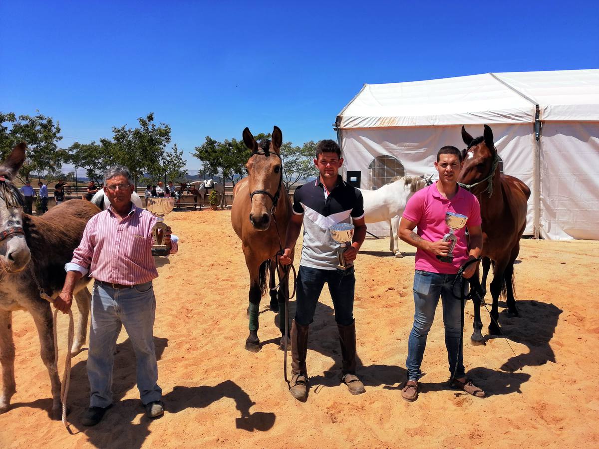 Fotos: Feria de Mayo